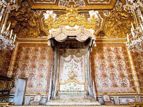 Versailles Palace Private Tour, including Return Transfers from Paris (EX3G-VIP)