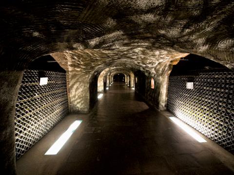 Private Day-Trip to Champagne Region, including several tastings, from Paris (T06-VIP)